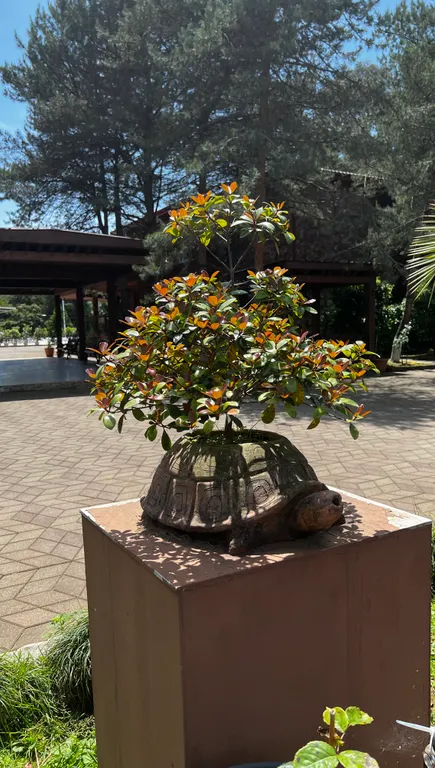 Квартира в Дрим Лэнд Oasis элитном комплексе на берегу Черного моря