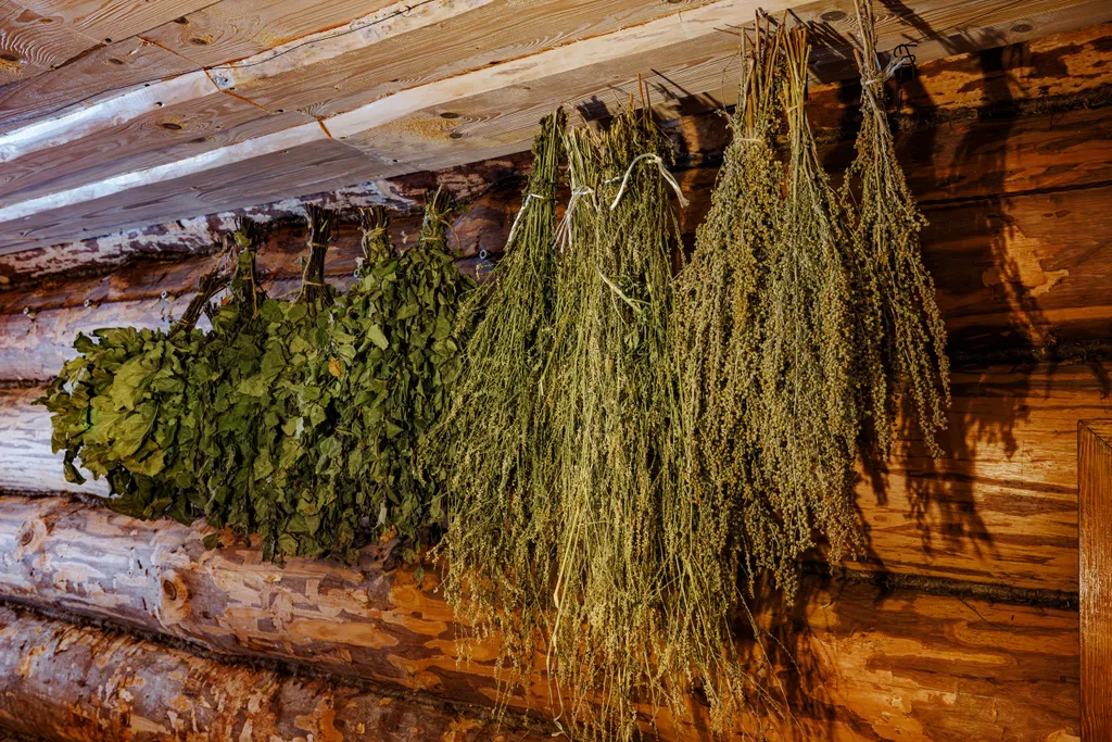 Дом в стиле Rustic с баней на дровах