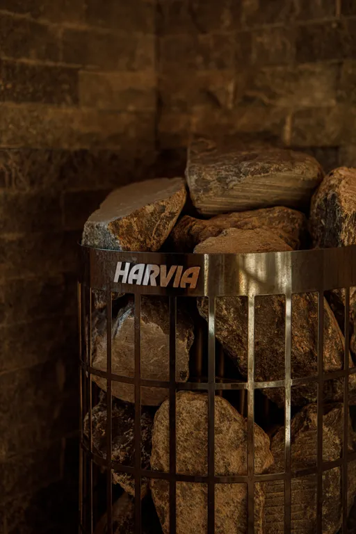 Дом с сауной и горячим чаном на участке с соснами