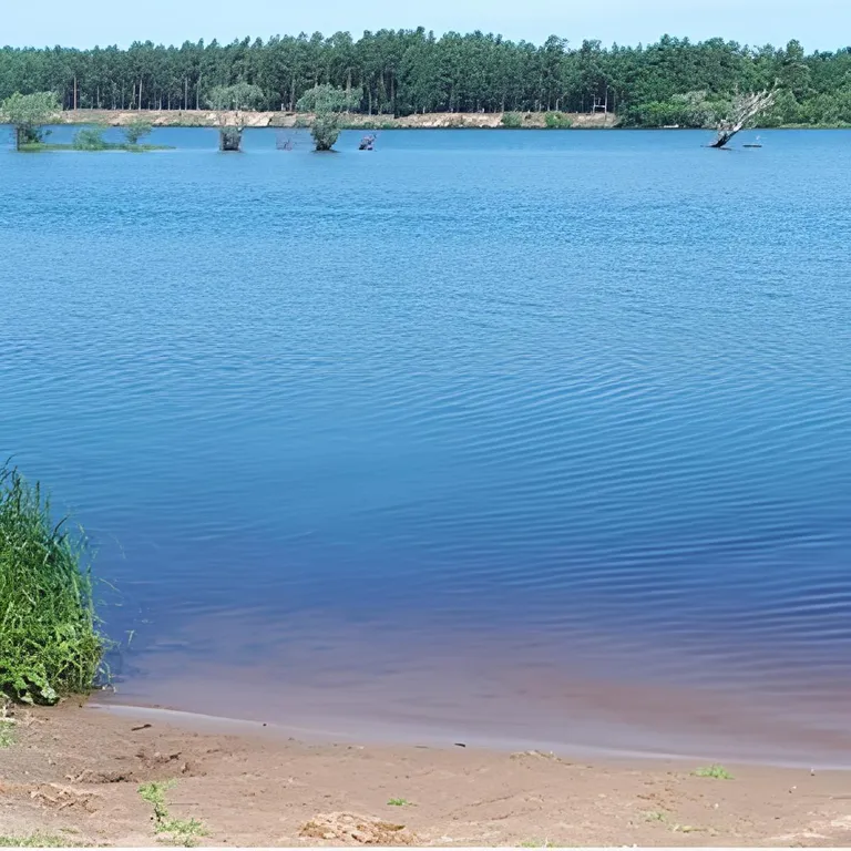 Большой дом на берегу Вселуга