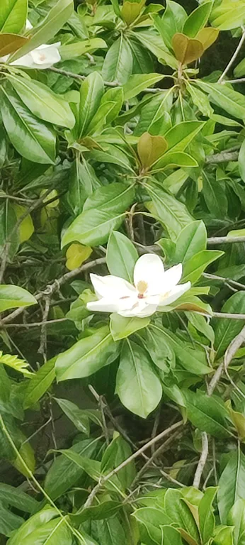 Уютная квартира в центре, близко к морю и рынку, без подъёма