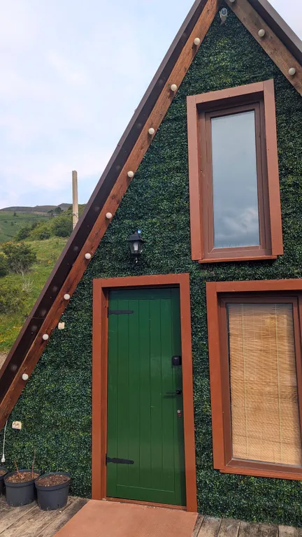 Полный детокс