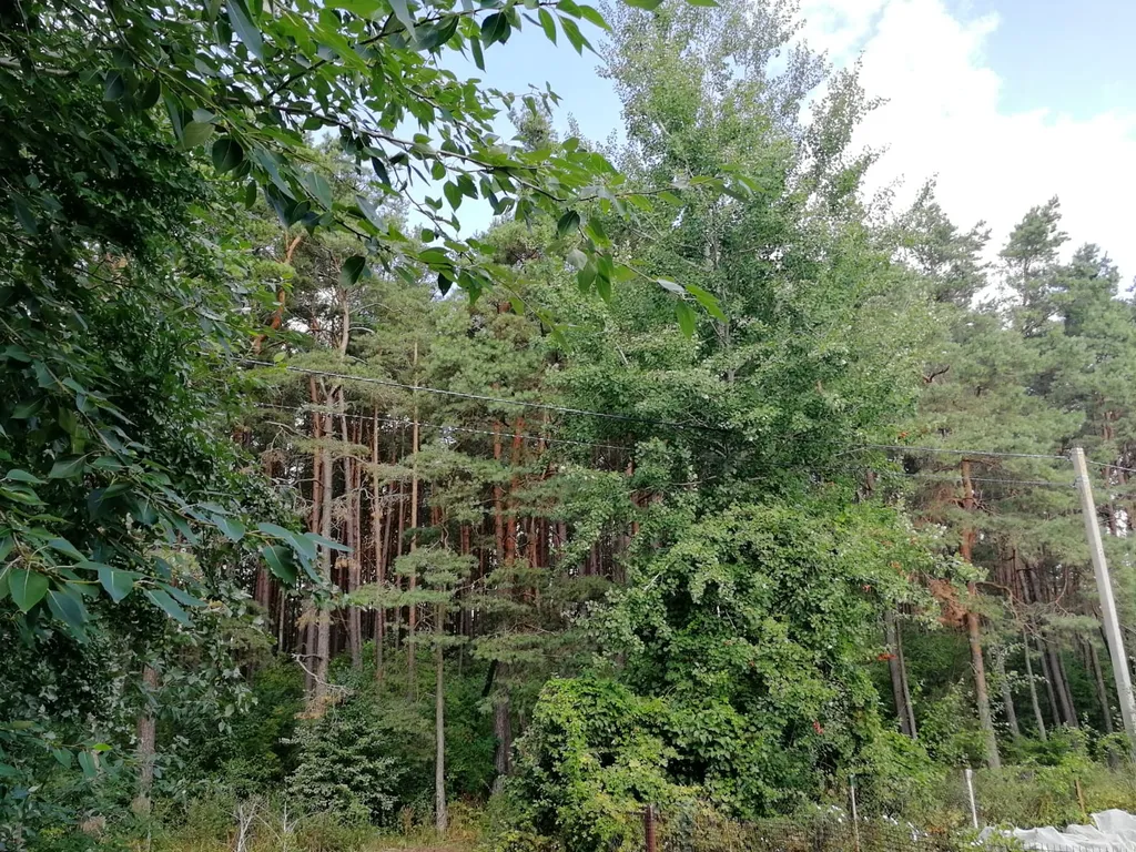 Коттедж Коттедж Уютные семейные апартаменты — Рыбачий