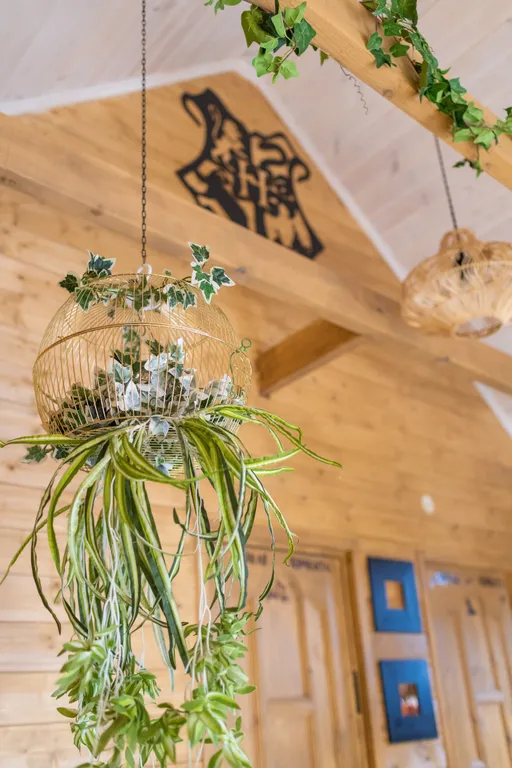 Дом Пуффендуй (чан входит в стоимость)