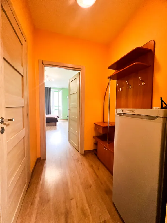 Вместительная студия в мурино