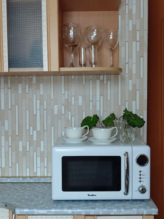 Просторная квартира в центре