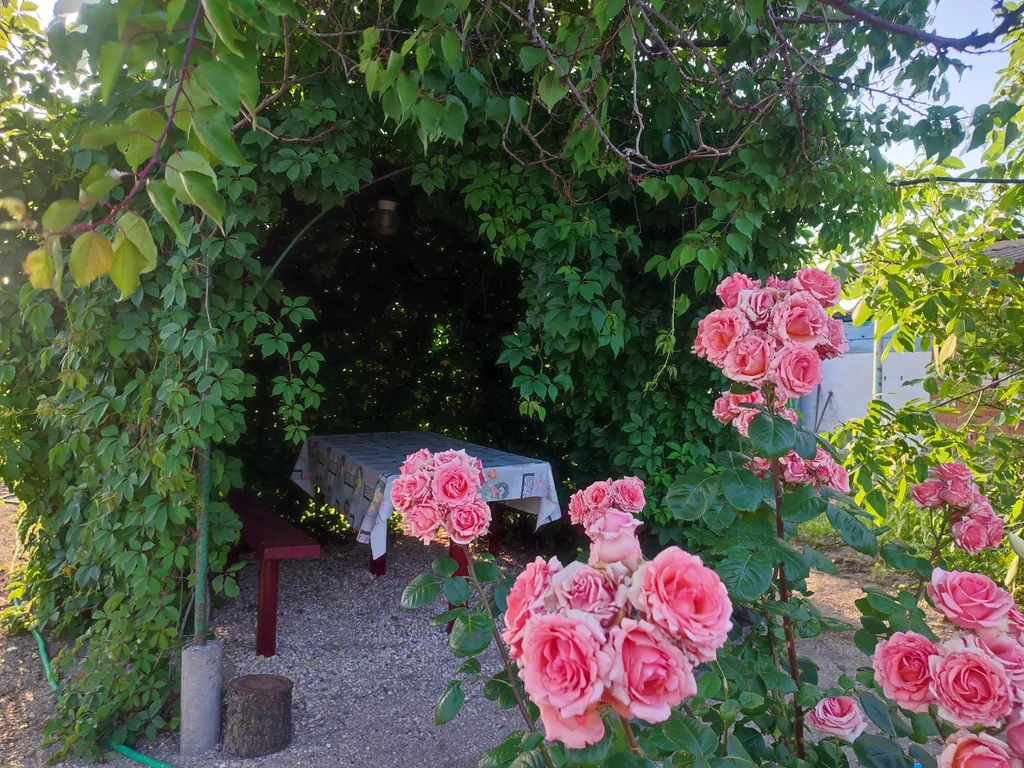 Частный дом в красивом, тихом и экологически чистом месте