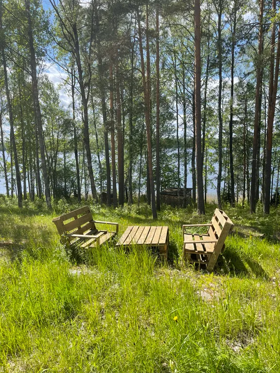 Домики на озере