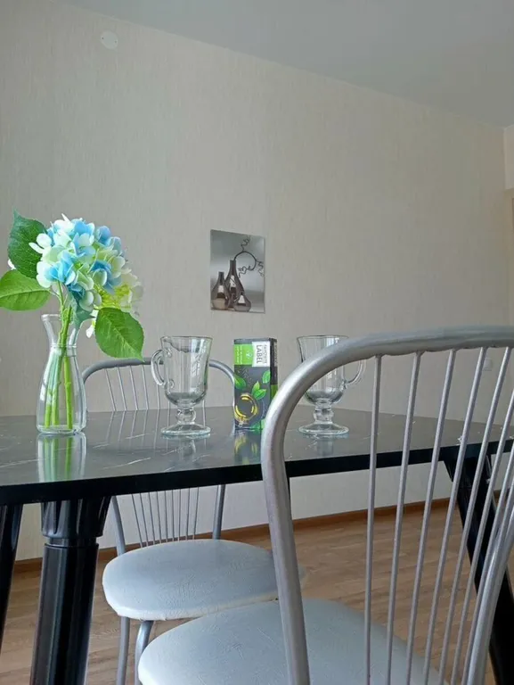 Новая квартира в Кировском районе, рядом завод / отчетные документы