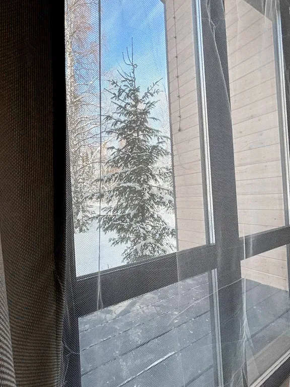 Барн хаус с прекрасным видом на лес