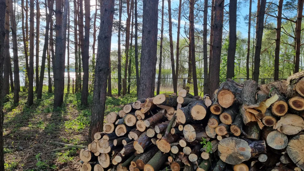 Коттедж Дом на 4х у берега водохранилища — Можайск