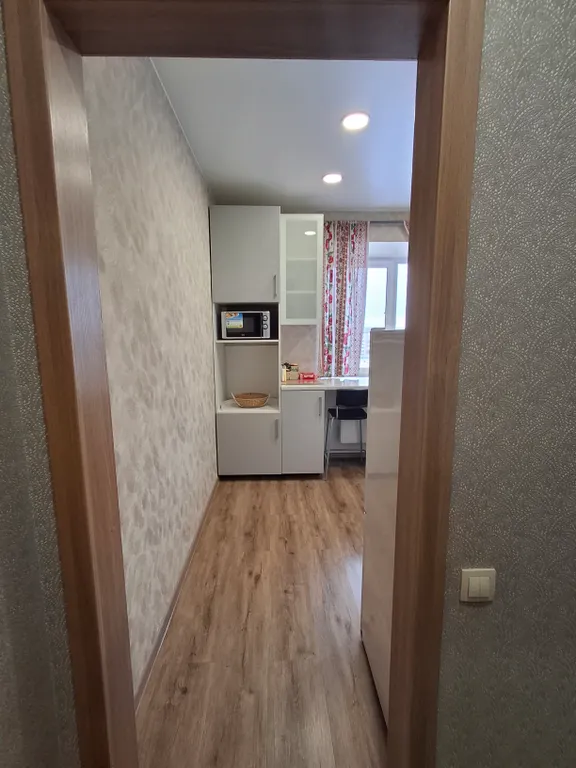 Квартира 1-комнатная Квартира — Луга