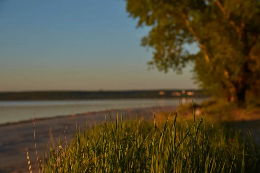 Студия на берегу Обского моря в бору Сказочный лес