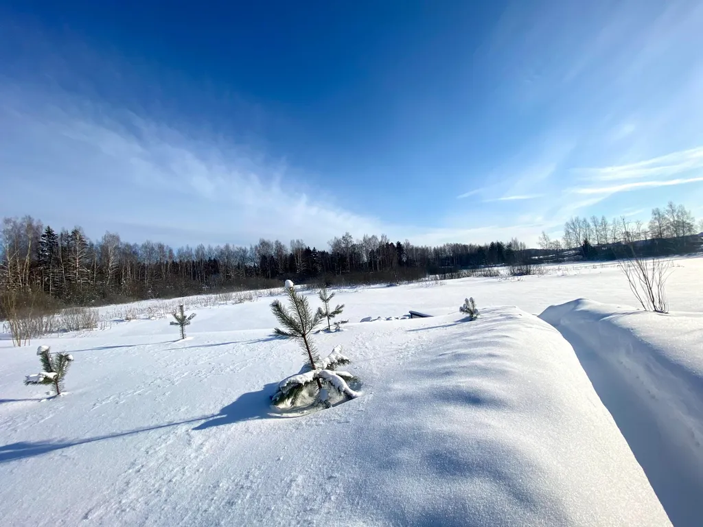 Домик со своим прудом и баней