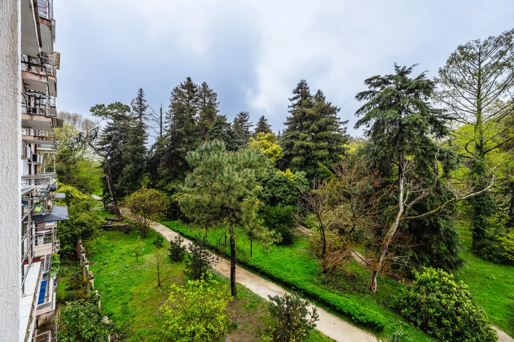 Квартира 1-комнатная Квартира — Сириус