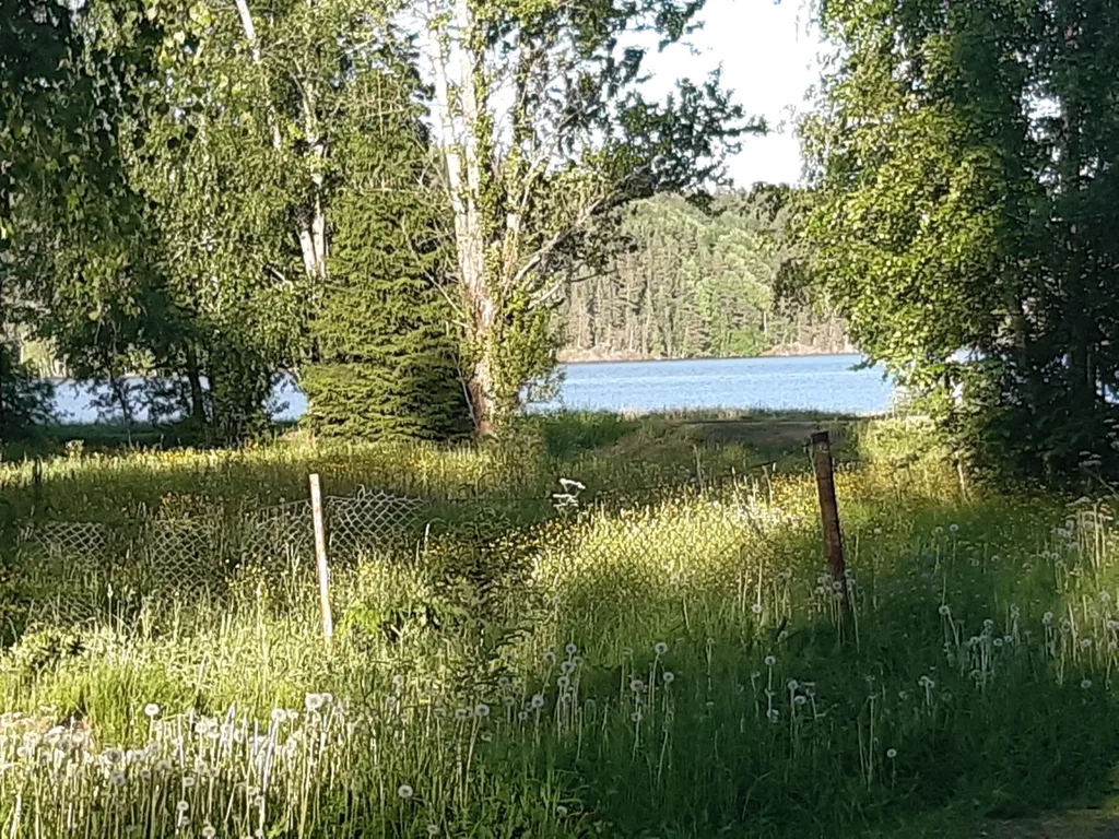 Дом Татьяны