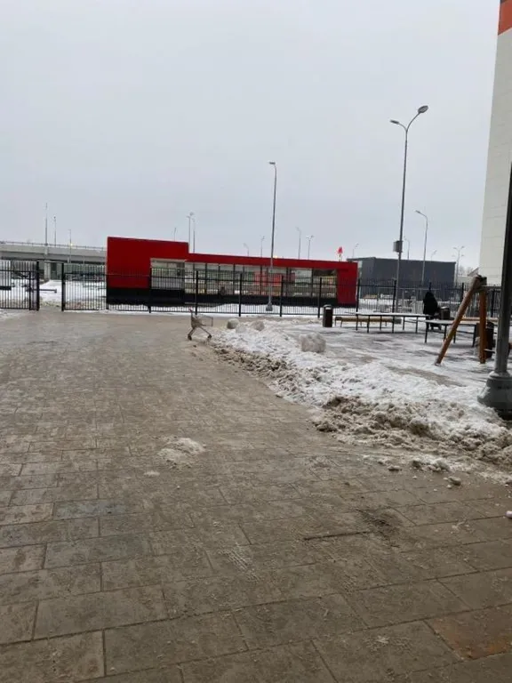 Viva 3 Рассказовка