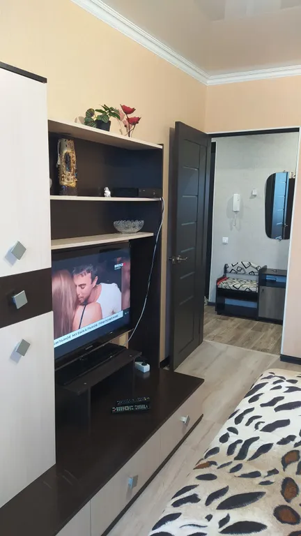 Уютная квартира в центре города, рядом с городским парком