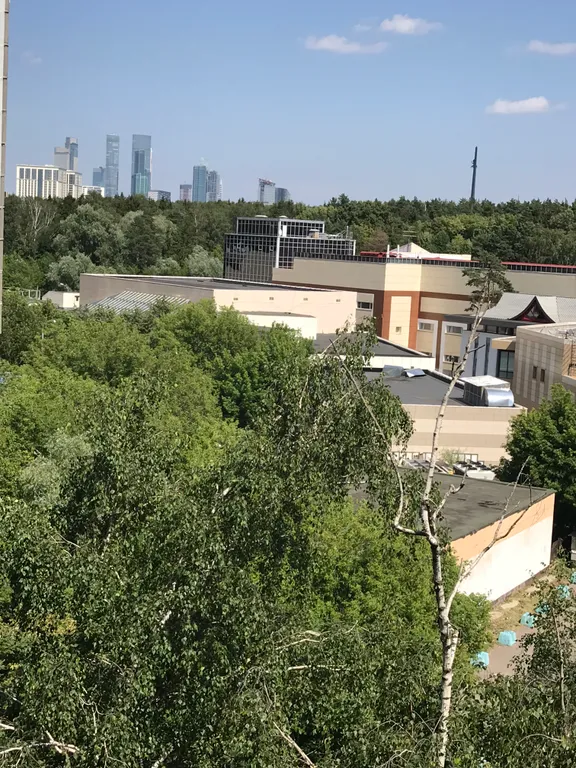 Квартира Светлая квартира рядом с метро Славянский бульвар — Москва