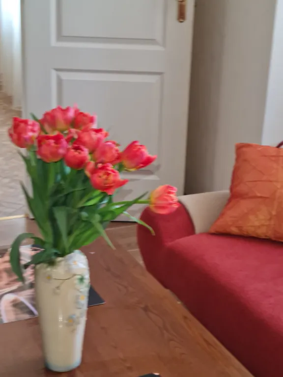 Просторная 1-комнатная квартира в центре Риги, 4 этаж без лифта