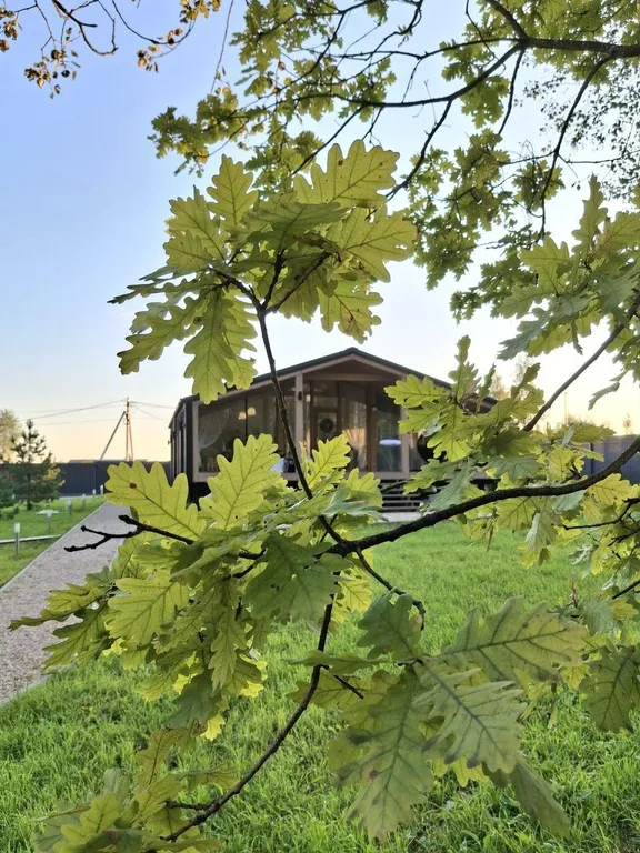 Дом у леса с камином