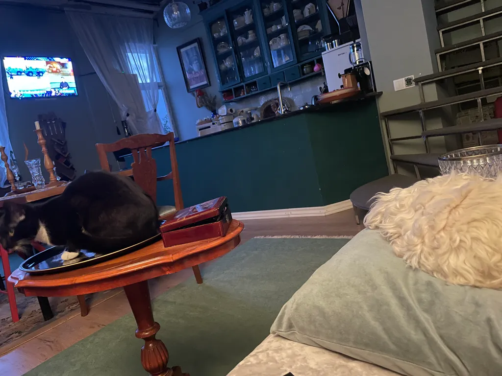 Можжевеловая роща