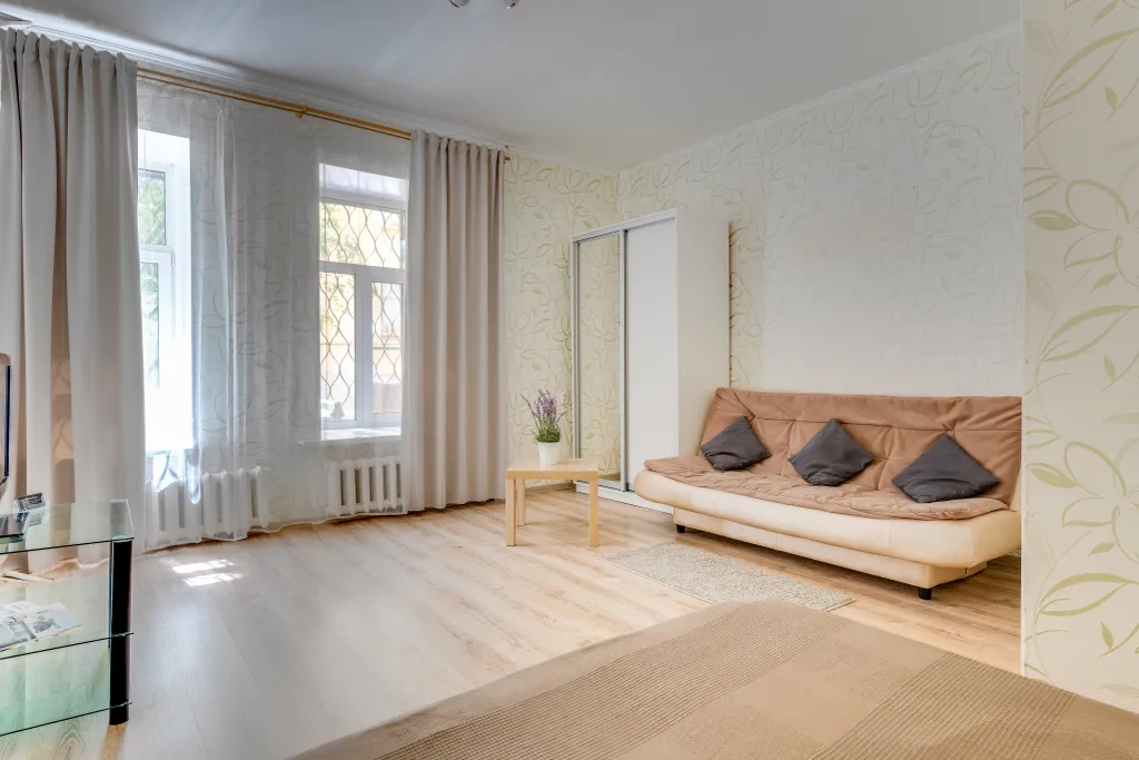 Большая однушка в центре