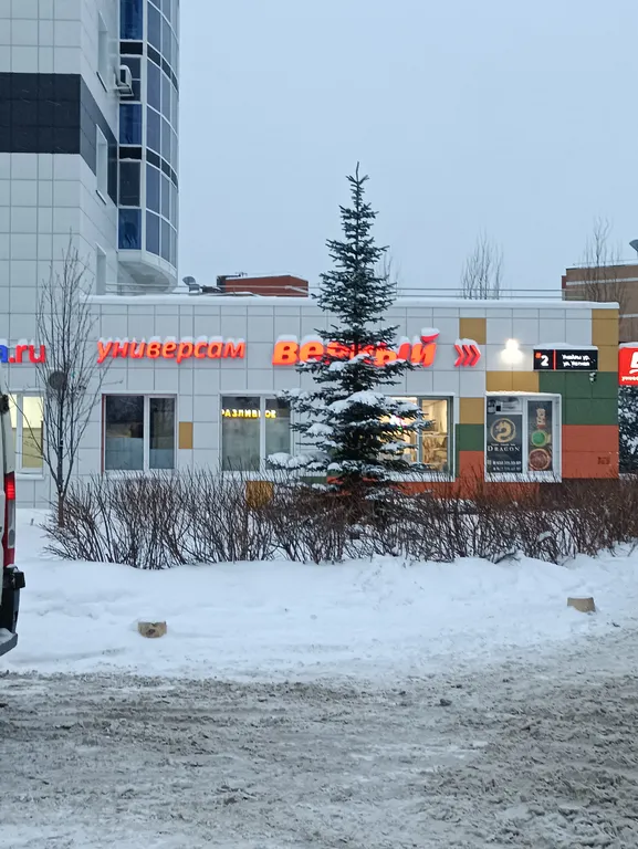 Новая Студия