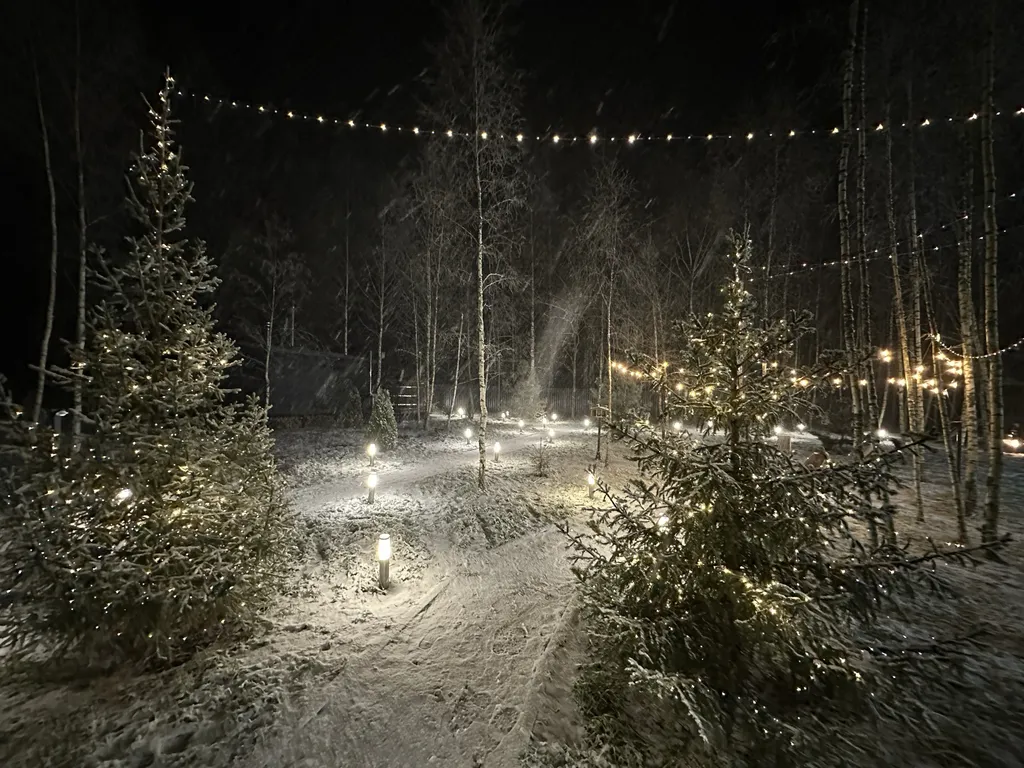 Коттедж Уютный сказочный дом в окружении леса — Алферово