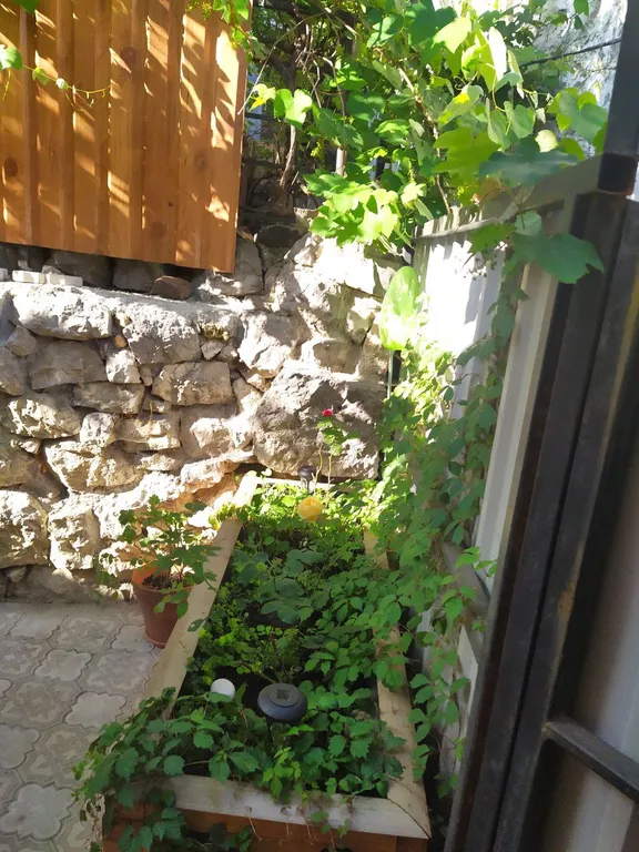 Комфортная студия в центре Алупки у дворца