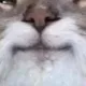Катя