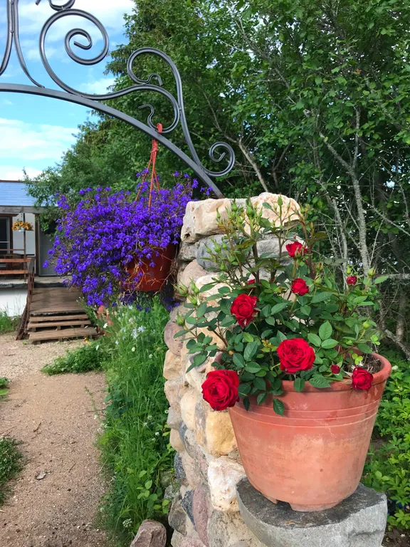 Три галки с мансардой