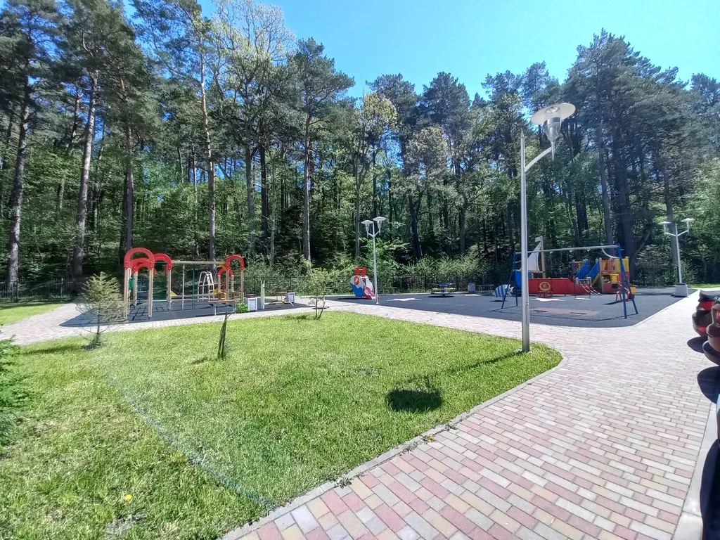 Сосновый рай у озера