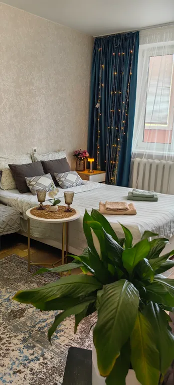 Уютная квартира в центре города