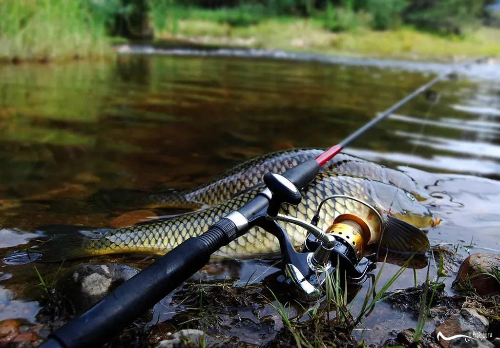 Коттедж Уютный дом аттик А-фрейм у Снетковского озера — Ларионово