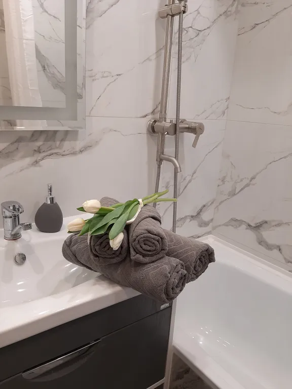 Квартира Евродвушка Premier с королевским балконом в самом центре — Воронеж