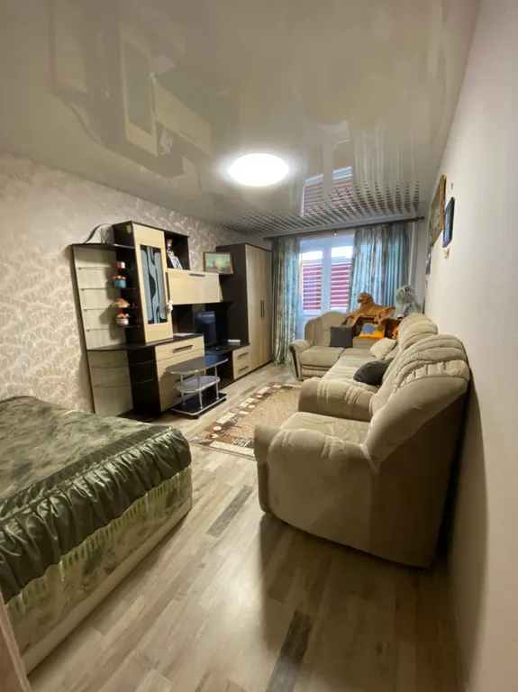 Большая уютная однокомнатная квартира в центре города