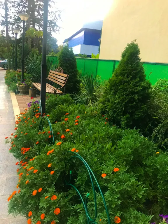 Квартира Квартира Панорамный вид на море, первая береговая — Адлер
