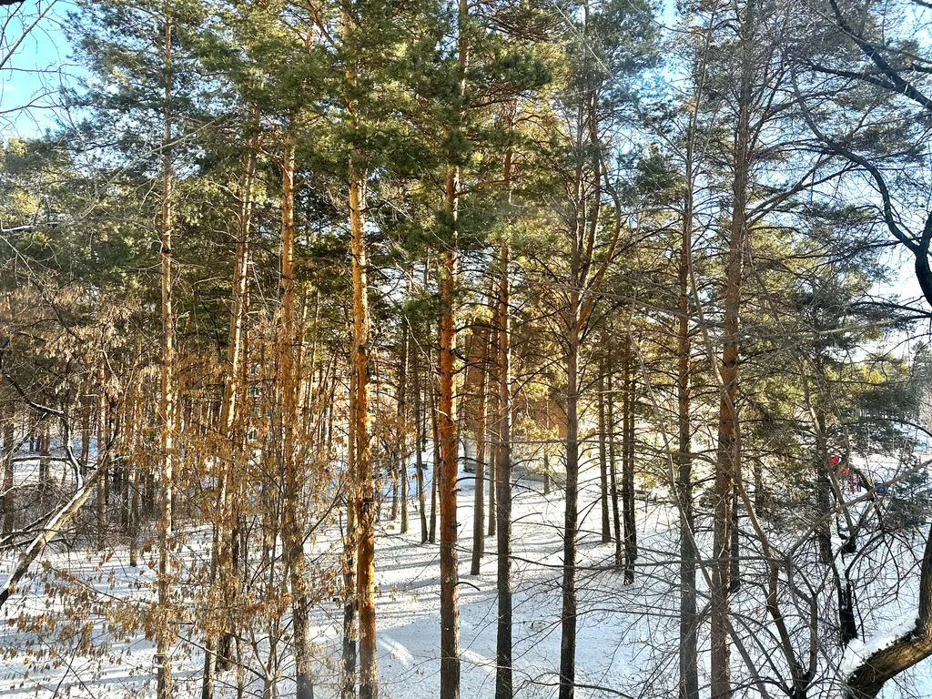 Отличная студия в самом центре города
