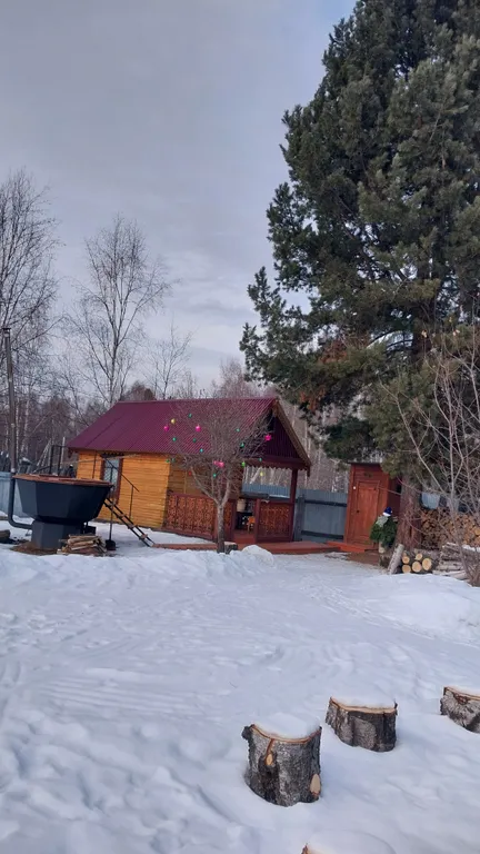 Гостевой дом "Под кедром"