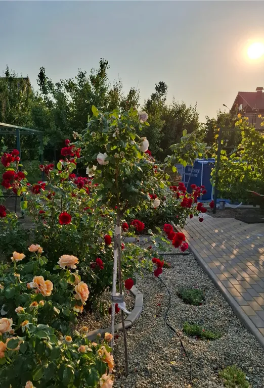 Уютный дом на берегу Азовского моря