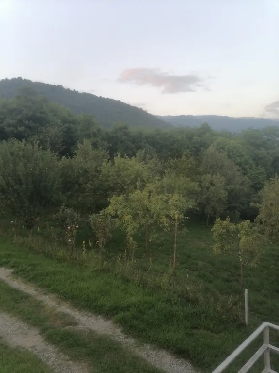 Абхазский двор