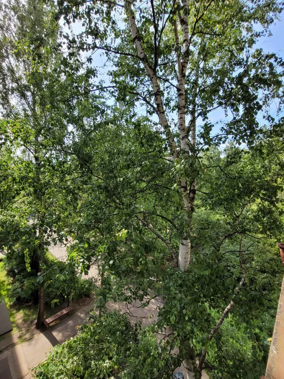 Уютная квартира рядом с озером