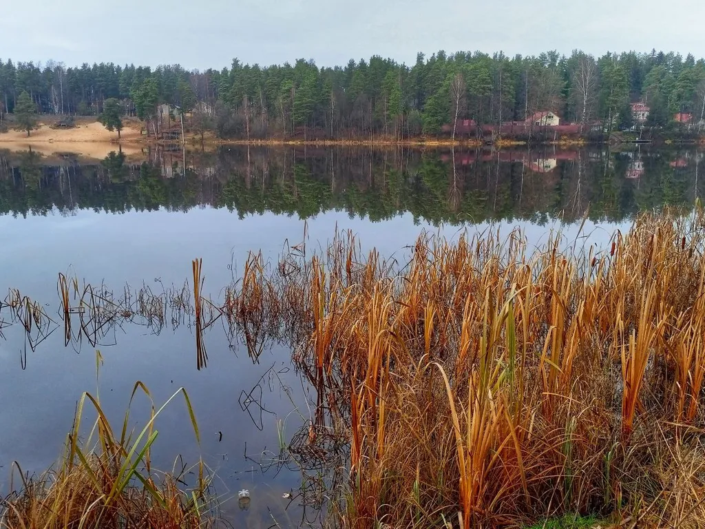 Коттедж lux 130 метров у озера