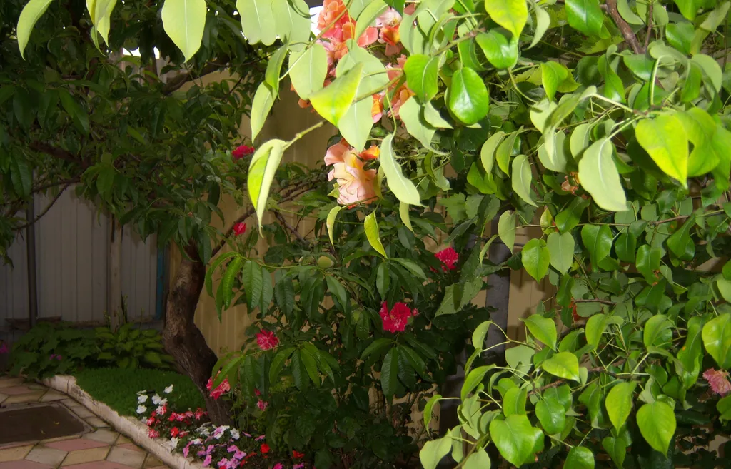 Коттедж 4-комнатный Дом — Анапа