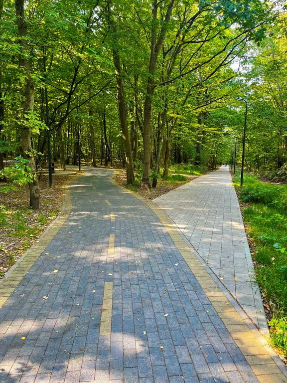 Новые апартаменты с видом на сосновый парк рядом с морем