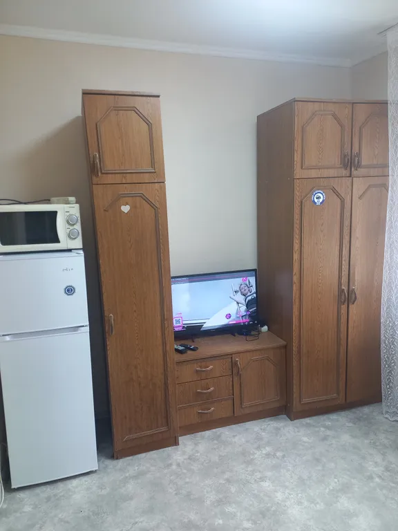 Уютная студия в Советском районе