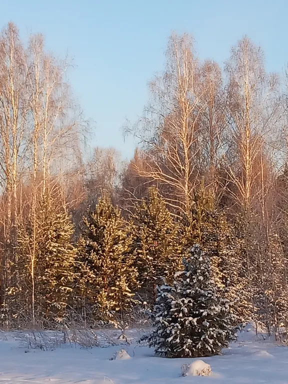 Уютный домик с огромным участком на природе у озера