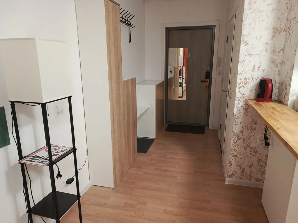 Студия близ аэропорта толмачево