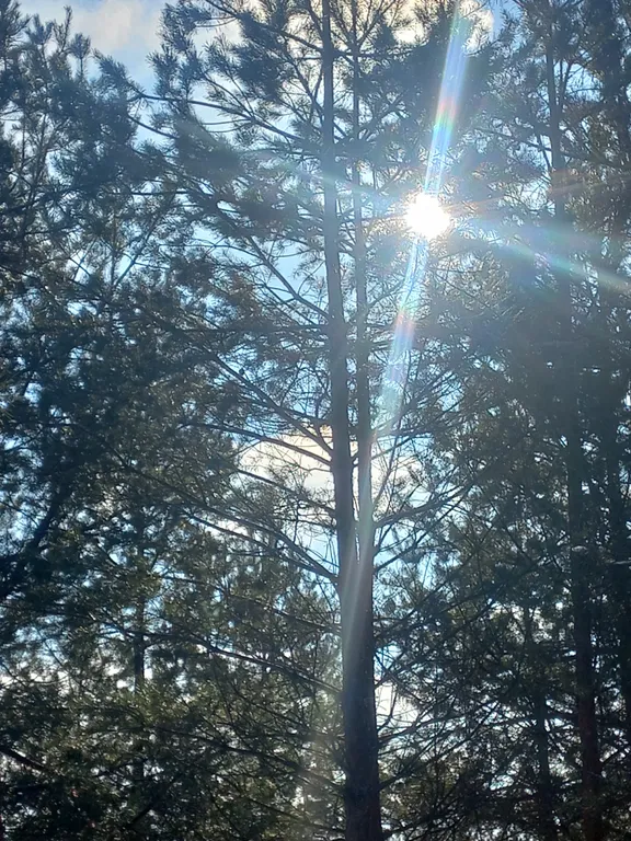 Коттедж Атмосферный Лесной домик, баня на дровах, чан на берегу реки в лесу — Старово